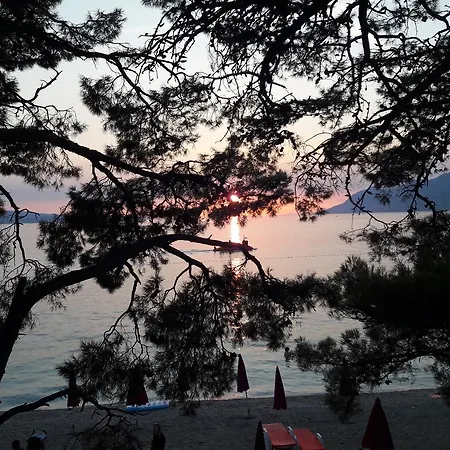 Apartman Nina M